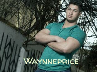 Waynneprice