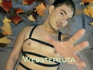 Websterluta