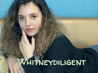 Whitneydiligent