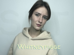 Whitneyfigge