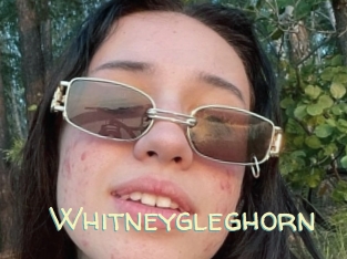 Whitneygleghorn