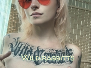 Wild.rabbitts