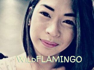 WildFLAMINGO