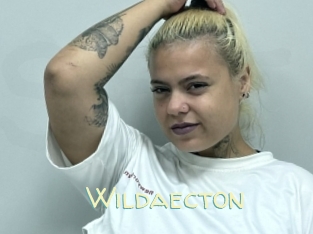 Wildaecton