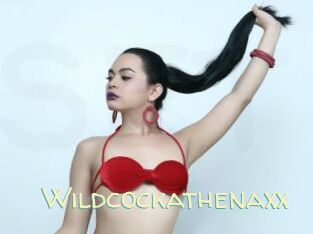 wildcockathenaxx Sexy Tchat