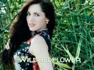 Wildredflower
