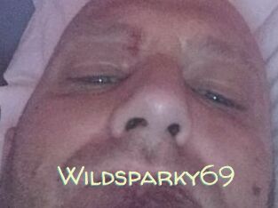 Wildsparky69