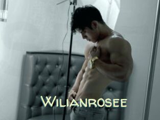 Wilianrosee
