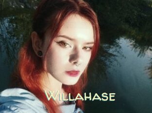 Willahase