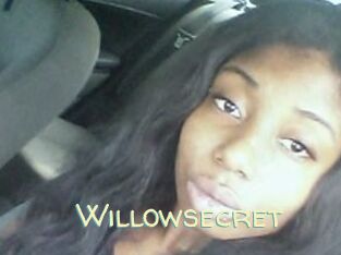 Willow_secret