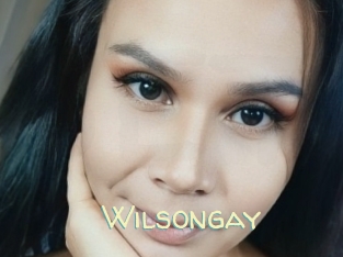 wilsongay Sexy Tchat