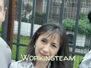 Workingteam