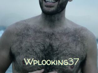 Wplooking37