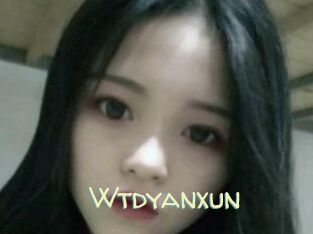 Wtdyanxun