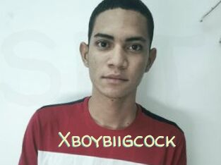 Xboybiigcock