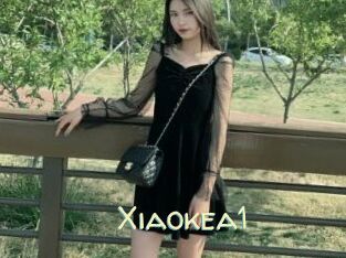 Xiaokea1