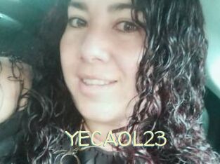 YECAOL23