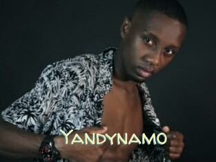 Yandynamo