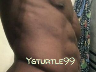 Ygturtle99
