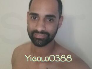 Yigolo0388