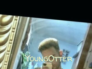 YoungOtter