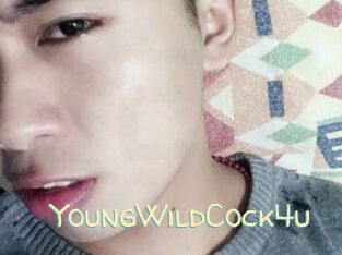 YoungWildCock4u