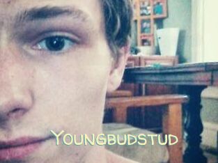 Youngbudstud