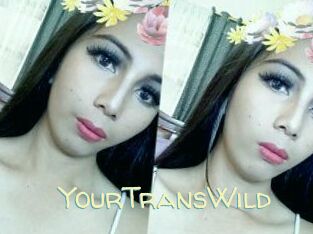 YourTransWild