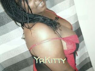 YrKitty