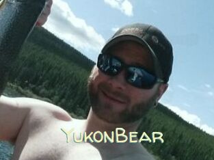 YukonBear