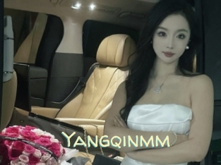 Yangqinmm