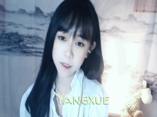 Yangxue