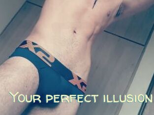Your_perfect_illusion