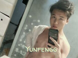 Yunfengg