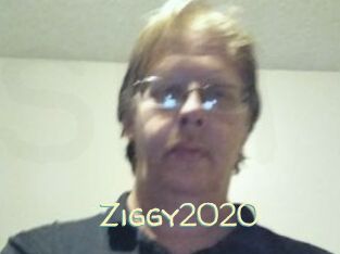 Ziggy2020