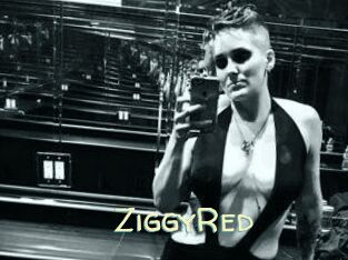 ZiggyRed