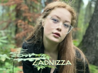Zadnizza
