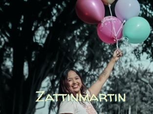 Zattinmartin