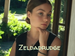 Zeldadrudge