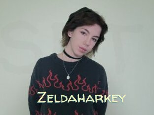 zeldaharkey Sexy Tchat